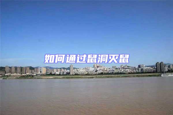 如何通過(guò)鼠洞滅鼠