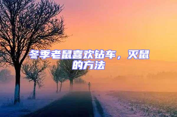 冬季老鼠喜歡鉆車，滅鼠的方法