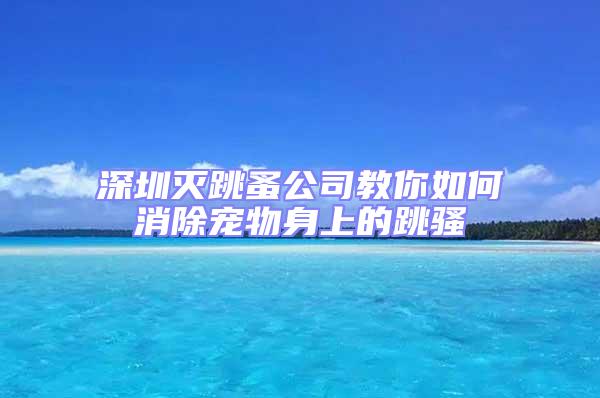 深圳滅跳蚤公司教你如何消除寵物身上的跳騷