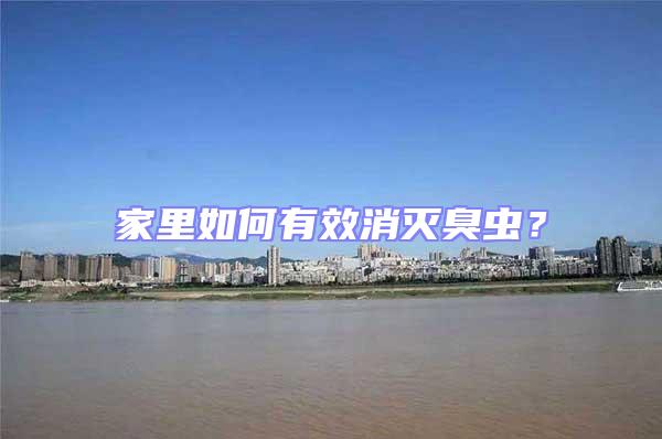 家里如何有效消滅臭蟲？