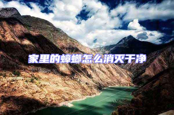 家里的蟑螂怎么消滅干凈