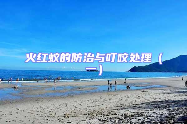 火紅蟻的防治與叮咬處理（一）