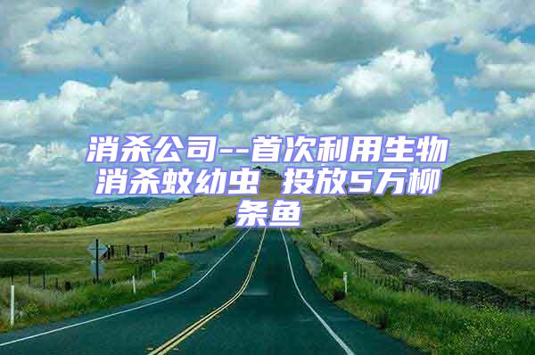 消殺公司--首次利用生物消殺蚊幼蟲 投放5萬柳條魚