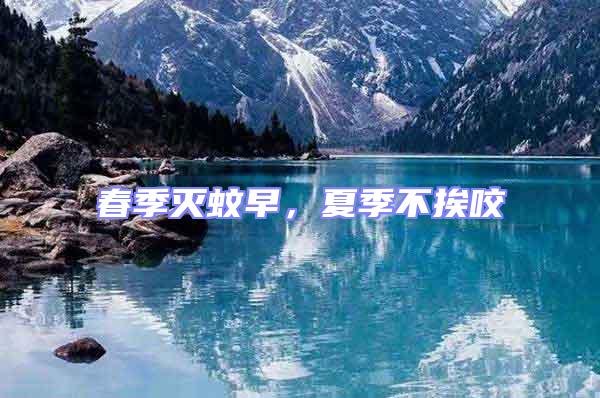 春季滅蚊早，夏季不挨咬
