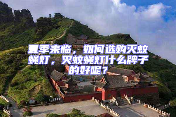 夏季來臨，如何選購滅蚊蠅燈，滅蚊蠅燈什么牌子的好呢？