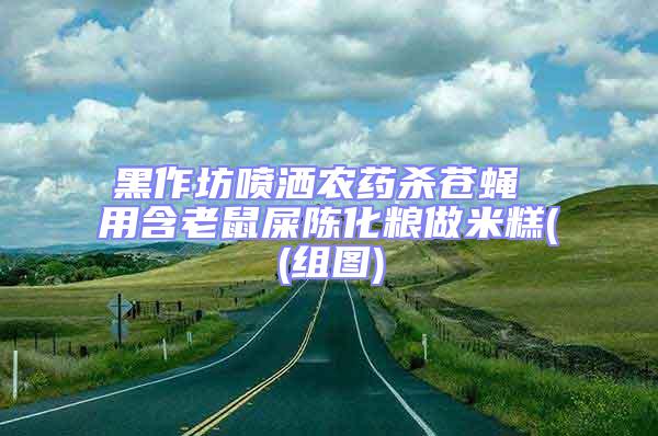 黑作坊噴灑農藥殺蒼蠅 用含老鼠屎陳化糧做米糕((組圖)