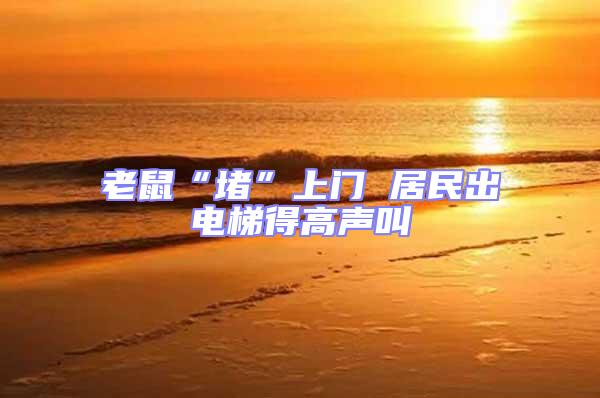 老鼠“堵”上門 居民出電梯得高聲叫