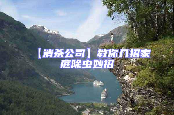 【消殺公司】教你幾招家庭除蟲妙招