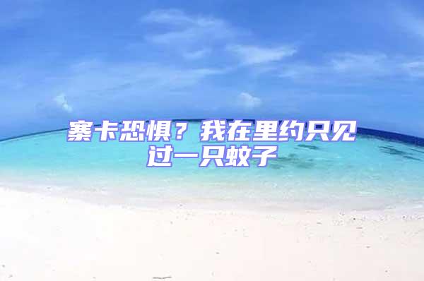寨卡恐懼？我在里約只見過一只蚊子