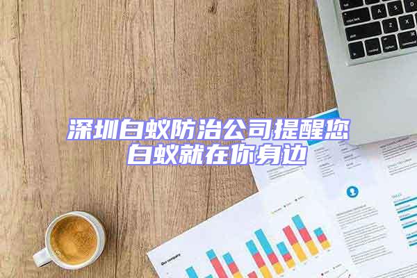 深圳白蟻防治公司提醒您 白蟻就在你身邊