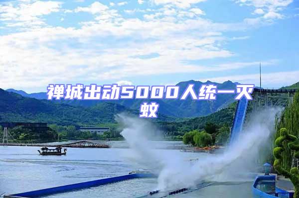 禪城出動5000人統一滅蚊
