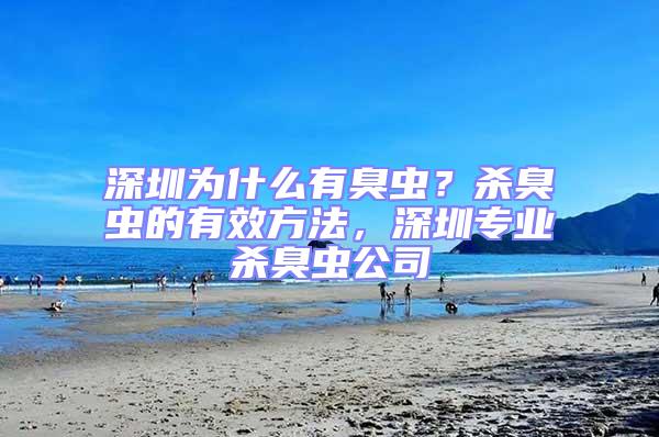 深圳為什么有臭蟲？殺臭蟲的有效方法，深圳專業殺臭蟲公司