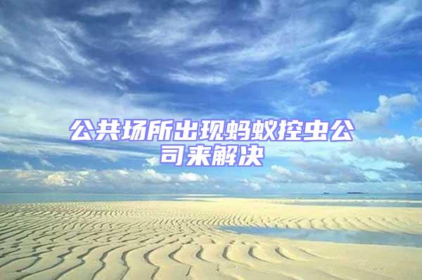 公共場所出現螞蟻控蟲公司來解決