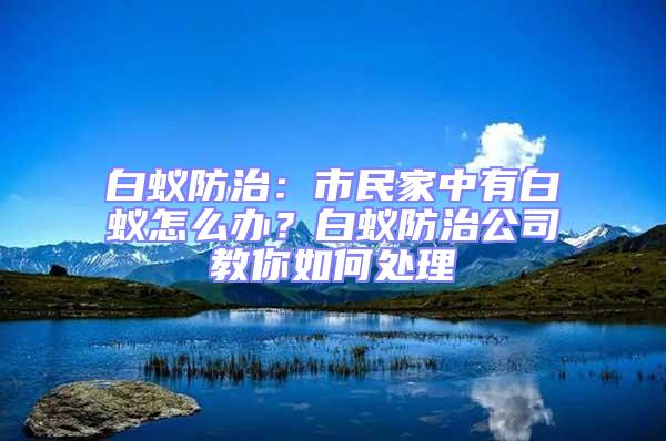 白蟻防治：市民家中有白蟻怎么辦？白蟻防治公司教你如何處理