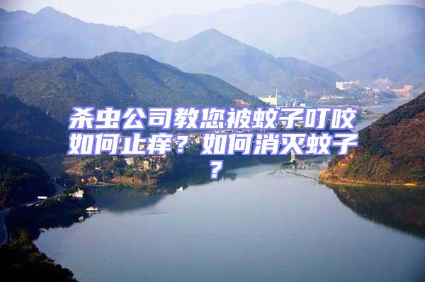 殺蟲公司教您被蚊子叮咬如何止癢？如何消滅蚊子？