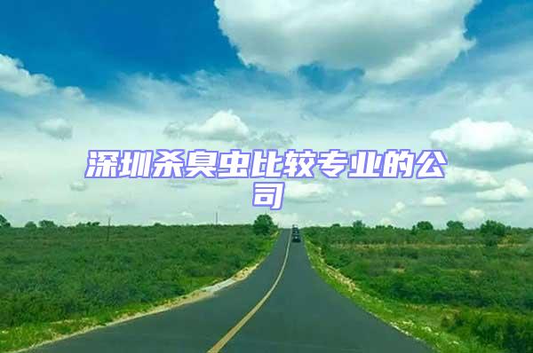 深圳殺臭蟲比較專業的公司
