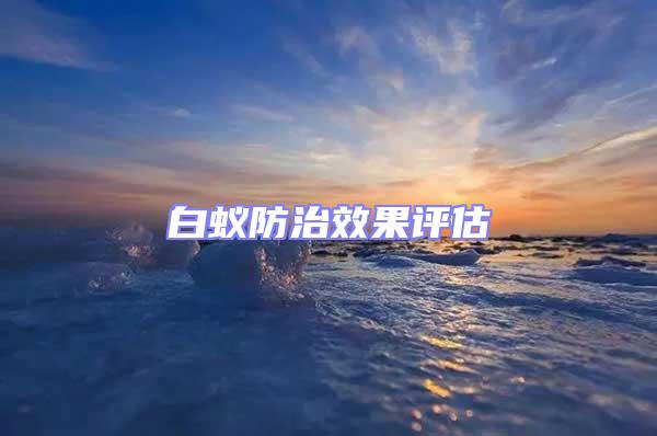 白蟻防治效果評(píng)估