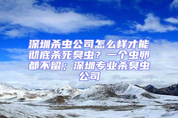 深圳殺蟲公司怎么樣才能徹底殺死臭蟲？一個(gè)蟲卵都不留；深圳專業(yè)殺臭蟲公司