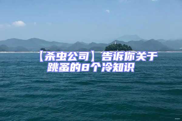 【殺蟲公司】告訴你關于跳蚤的8個冷知識