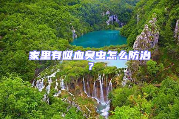 家里有吸血臭蟲怎么防治？