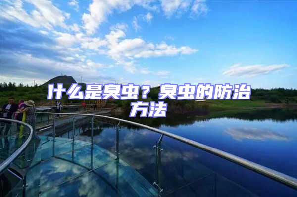 什么是臭蟲？臭蟲的防治方法