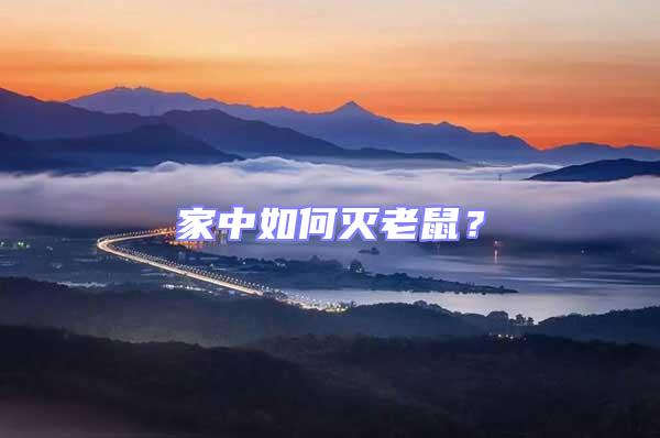 家中如何滅老鼠？