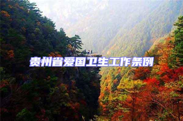 貴州省愛國衛生工作條例