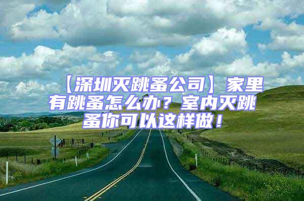 【深圳滅跳蚤公司】家里有跳蚤怎么辦？室內滅跳蚤你可以這樣做！
