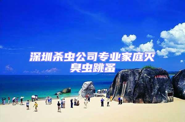 深圳殺蟲公司專業(yè)家庭滅臭蟲跳蚤