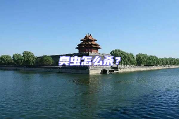 臭蟲(chóng)怎么殺？