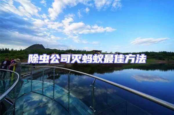 除蟲公司滅螞蟻?zhàn)罴逊椒?/></p>
									<p>　　隨著咱們城市建設(shè)的敏捷發(fā)展，螞蟻的生存環(huán)境產(chǎn)生了宏大的轉(zhuǎn)變，并逐步適應(yīng)了建造密集，人口濃密的城市環(huán)境，還經(jīng)常侵入室內(nèi)覓食，筑巢。因?yàn)槭覂?nèi)螞蟻會沾染食品，破壞建造，傳播細(xì)菌，叮咬人體，因此對人類生活會造成一定的迫害，除蟲公司提示咱們，為更好的防治這種迫害就必須理解室內(nèi)螞蟻的品種及其習(xí)慣，而后再針對具體情況提出一些有效的辦法。</p>
<p style=