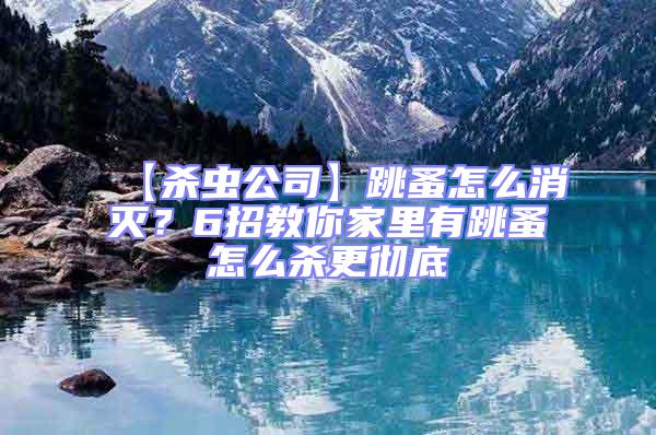 【殺蟲公司】跳蚤怎么消滅？6招教你家里有跳蚤怎么殺更徹底