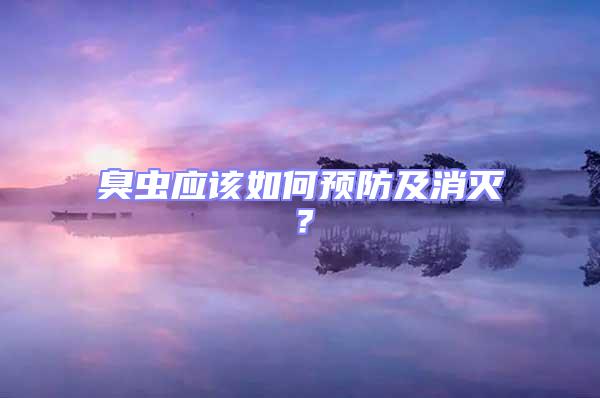 臭蟲應該如何預防及消滅？