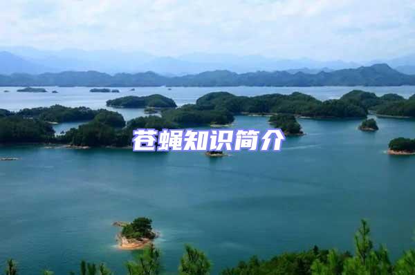 蒼蠅知識簡介
