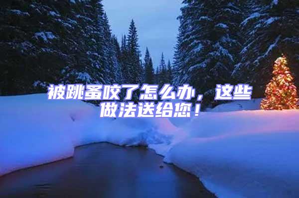 被跳蚤咬了怎么辦，這些做法送給您！