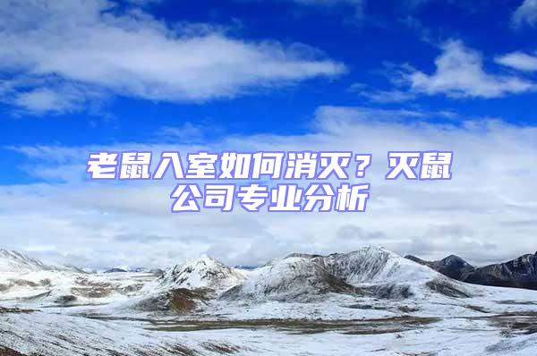 老鼠入室如何消滅？滅鼠公司專業(yè)分析