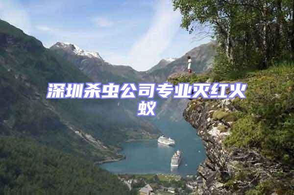 深圳殺蟲公司專業滅紅火蟻