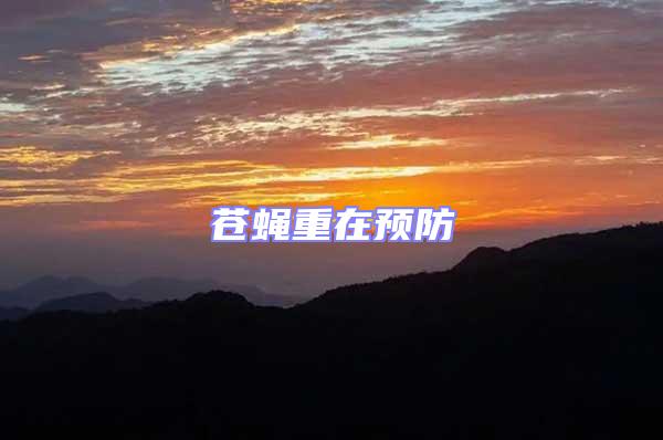 蒼蠅重在預防