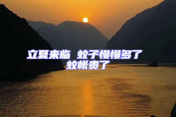 立夏來臨 蚊子慢慢多了 蚊帳貴了