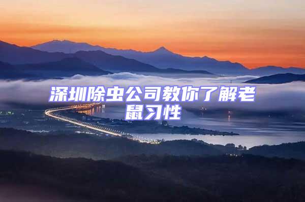 深圳除蟲公司教你了解老鼠習性