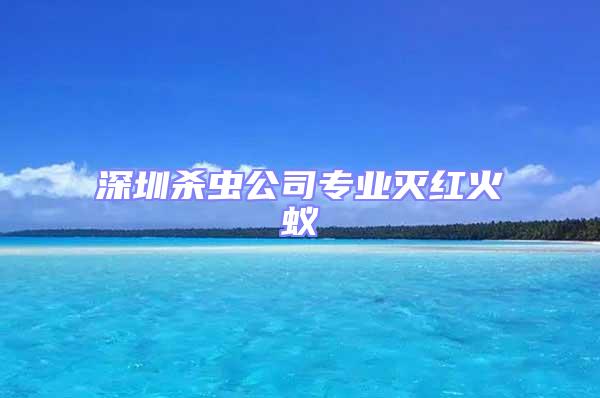 深圳殺蟲公司專業滅紅火蟻