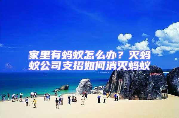 家里有螞蟻怎么辦？滅螞蟻公司支招如何消滅螞蟻