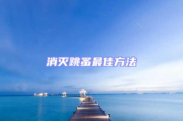 消滅跳蚤最佳方法