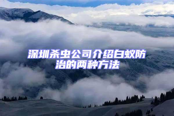深圳殺蟲公司介紹白蟻防治的兩種方法