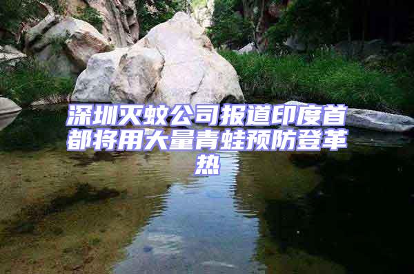 深圳滅蚊公司報道印度首都將用大量青蛙預防登革熱