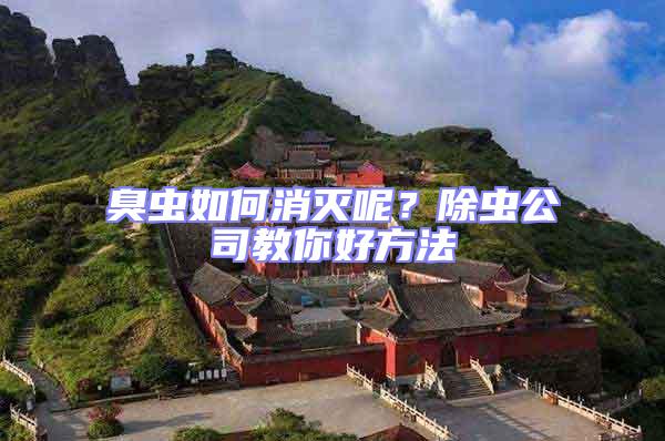 臭蟲(chóng)如何消滅呢？除蟲(chóng)公司教你好方法