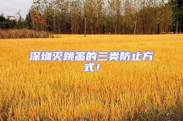 深圳滅跳蚤的三類防止方式！