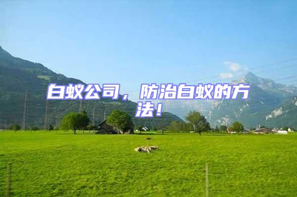 白蟻公司，防治白蟻的方法！