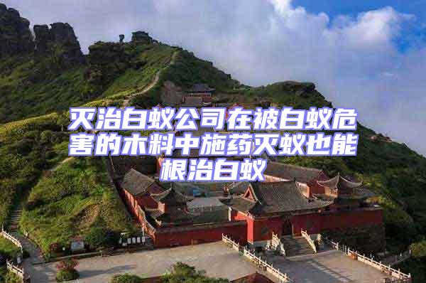 滅治白蟻公司在被白蟻危害的木料中施藥滅蟻也能根治白蟻