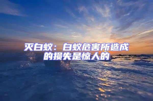 滅白蟻：白蟻危害所造成的損失是驚人的